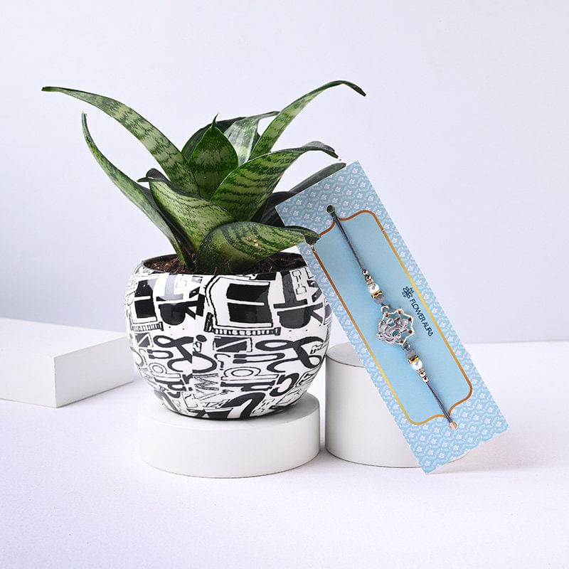 Lush Snake Plant N Ganesha Rakhi Combo