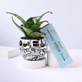 Lush Snake Plant N Ganesha Rakhi Combo