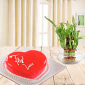 Lustrous Brilliance Combo - A combo gift of strawberry heart shaped cake and lucky bamboo plant