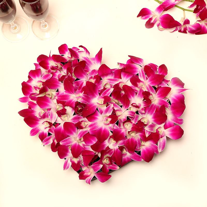 Romantic Orchid For Your Valentine