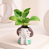 Ficus and Peperomia Plants in a Vase
