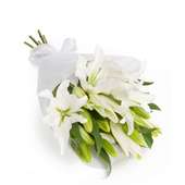 Buy Majestic White Lilies for Valentines Day