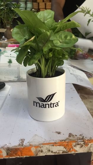 Mantra Corporate Product