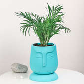 Buy Mayan Inspired Bamboo Palm Online
