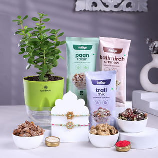 Meenakari Rakhis Duo With Jade Plant N Nuts Mix