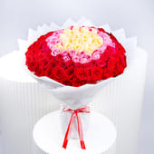 Melody Of Rosy Romance