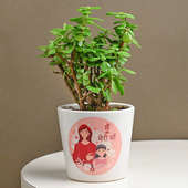Mother's Day Quotes Jade Plant with Pot