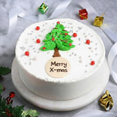 Merry Christmas Cake