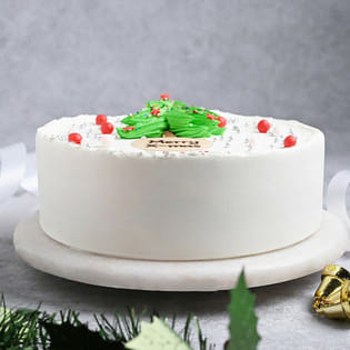 Merry Christmas Cake