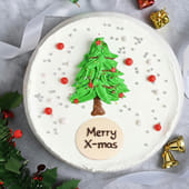 Merry Christmas Cake