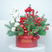 Merry Ilex N Rose Christmas Box