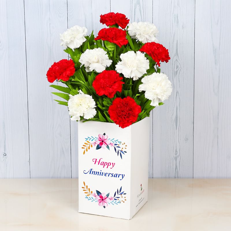 Bunch of 12 Mixed Carnations for Anniversary
