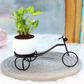 Metal Neon Foliage - Foliage Plant Location Indoors in Bicycle Vase