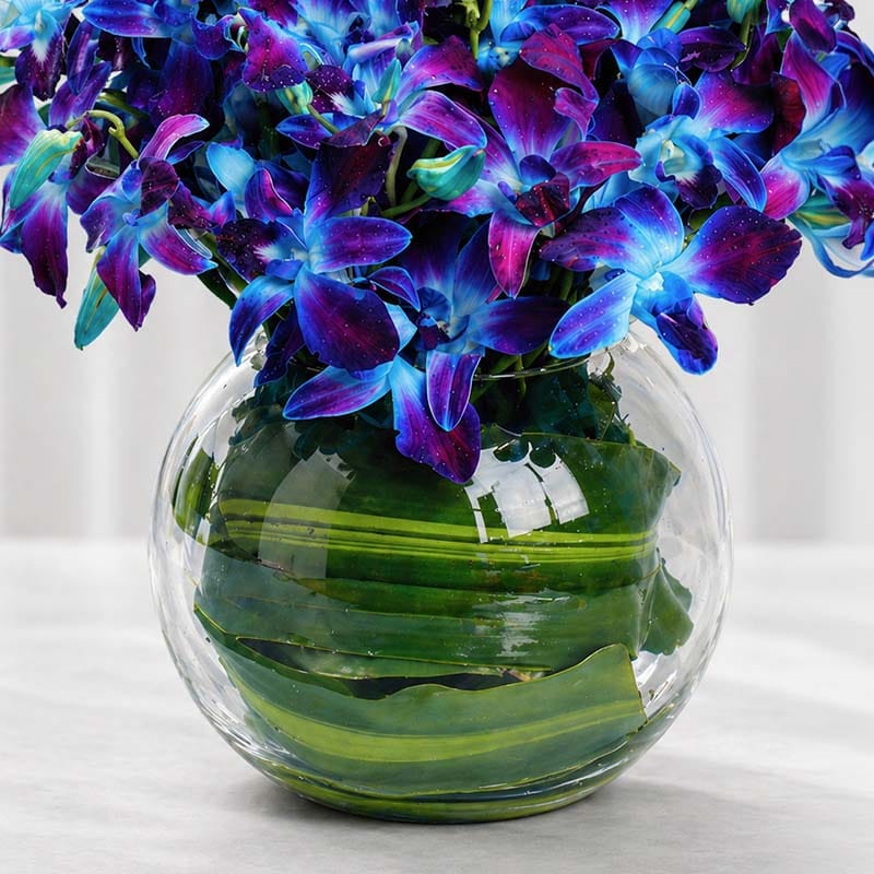 Product Image Video
