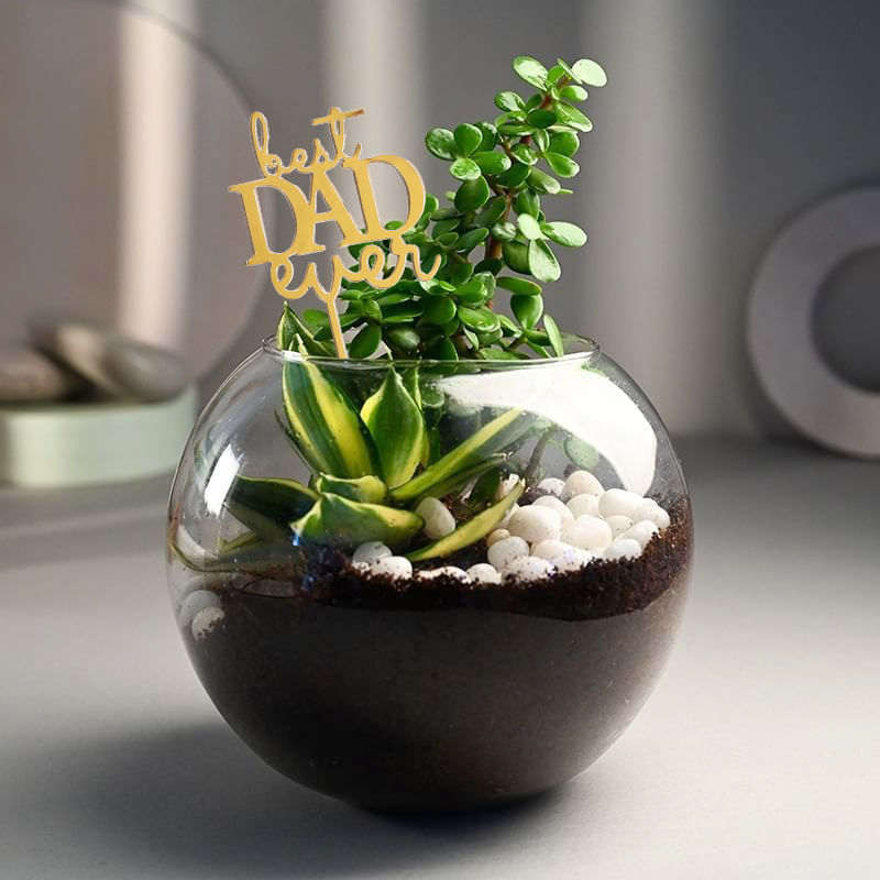 Jade N Sansevieria Milt In Best Dad Fishbowl Pot