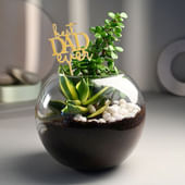 Jade N Sansevieria Milt In Best Dad Fishbowl Pot