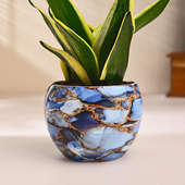 Milt Plant In Elegant Stone Print Pot