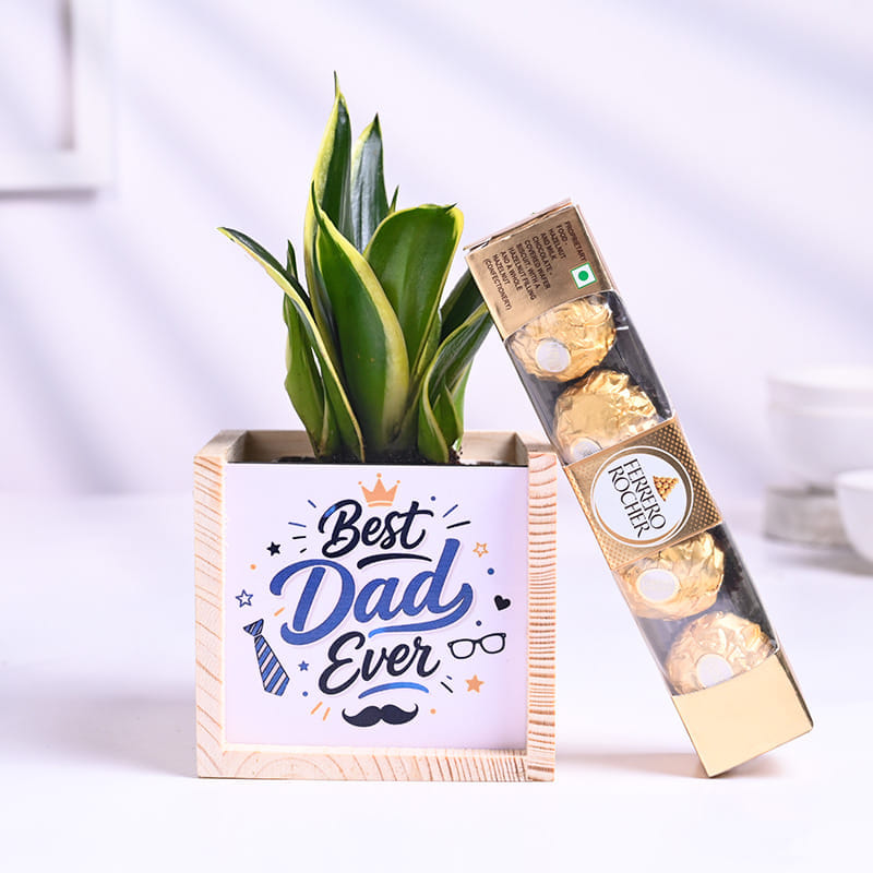 Milt Sansevieria Plant In Best Dad Pot With Treats