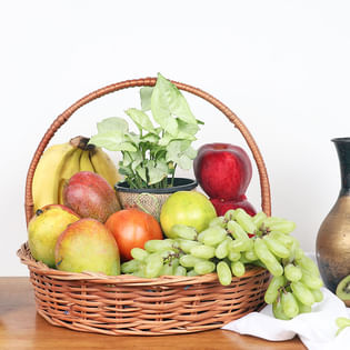 Mix Fruit Plant Basket