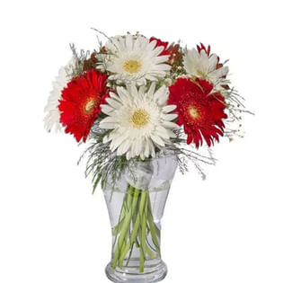 Mixed Bouquet Of Vibrant Gerberas