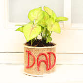 Jute Wrapped Syngonium in Glass Vase for Dad