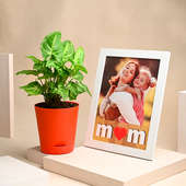 Mom Love Syngonium Plant With Photo Frame Online