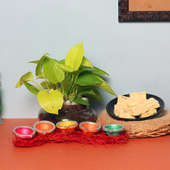 Money Brightening Combo - Good Luck Plant Indoors in Potouri Vase with Set of 5 Diyas and Half Kg Soan Papdi
