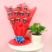 Money Choco Plant Combo - Good Luck Plant Indoors in Floweraura Chatura Vase with Bouquet of 10 Dairy Milk Chocolates