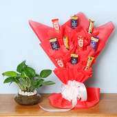 Money Chocolate Combo - Good Luck Plant Indoors in Potpourri Vase Bouquet of 10 Mixed Chocolates