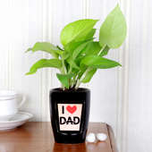 Dad's Money Plant