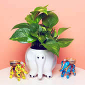 Money Plant Candle Ride - Good Luck Plant Indoors in Big Elephant Vase with Two 2 Inch Fabric Elephant