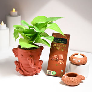 Money Plant Chocolate N Diya Diwali Hamper