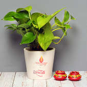 Money Plant Diya Fusion - Good Luck Plant Indoors in Conical Personalized Vase with Set of 2 Diyas