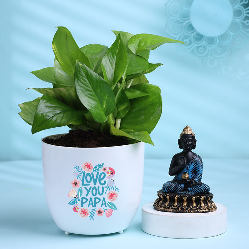 Money Plant In Best Dad Pot With Buddha Idol