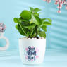 Money Plant In Best MOM Ever White Pot
