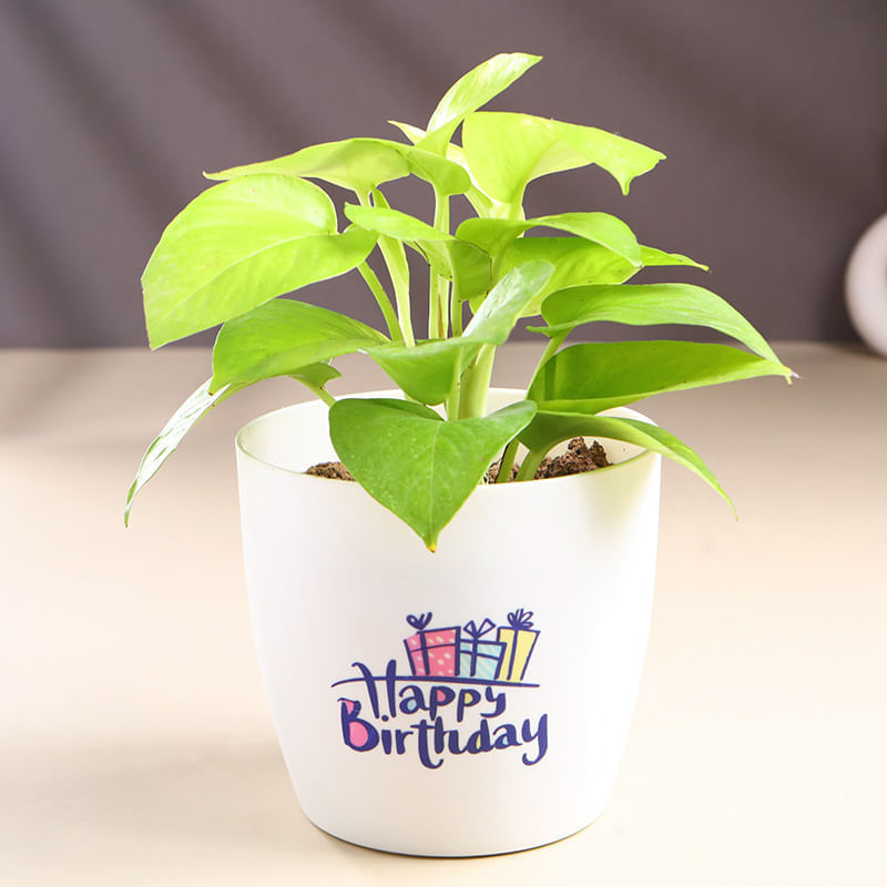 Product Image Video