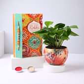 Money Plant In Flowery Pot N Rakhi With Greeting Card