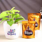 Money Plant In Happy Birthday Pot With Chocolates