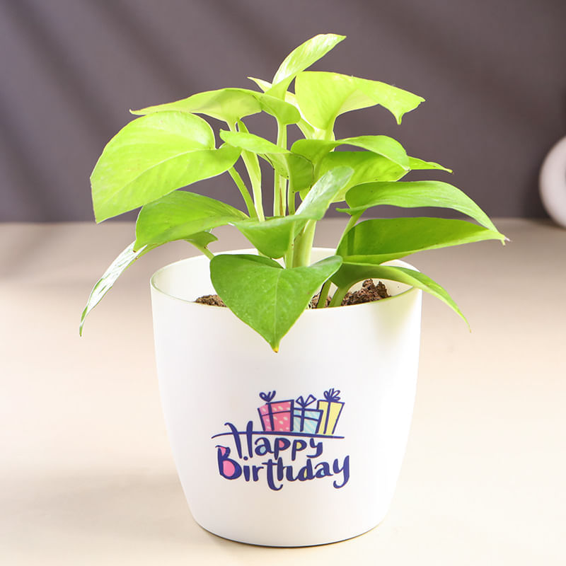 Product Image Video