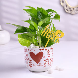 Money Plant In Heart Pot With Love You Mom Topper