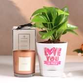 Money Plant In Love Pot With Candle