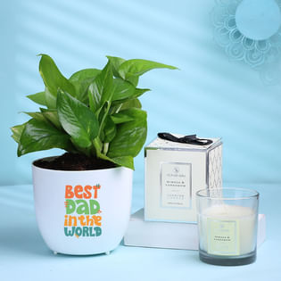 Money Plant In Love You Papa Pot With Candle
