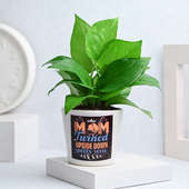 Buy Money Plant In Personalised Pot for Mothers Day