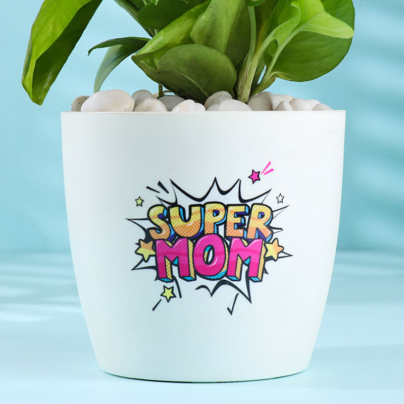 Product Image Video