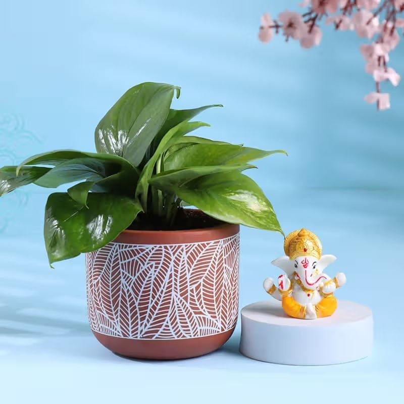 Money Plant In Terracotta Pot With Ganesha Idol