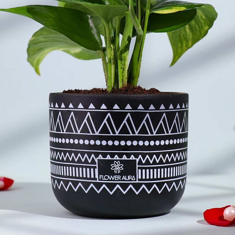 Product Image Video