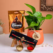 Buy Money Plant N Choco With Kanha Rakhi Online