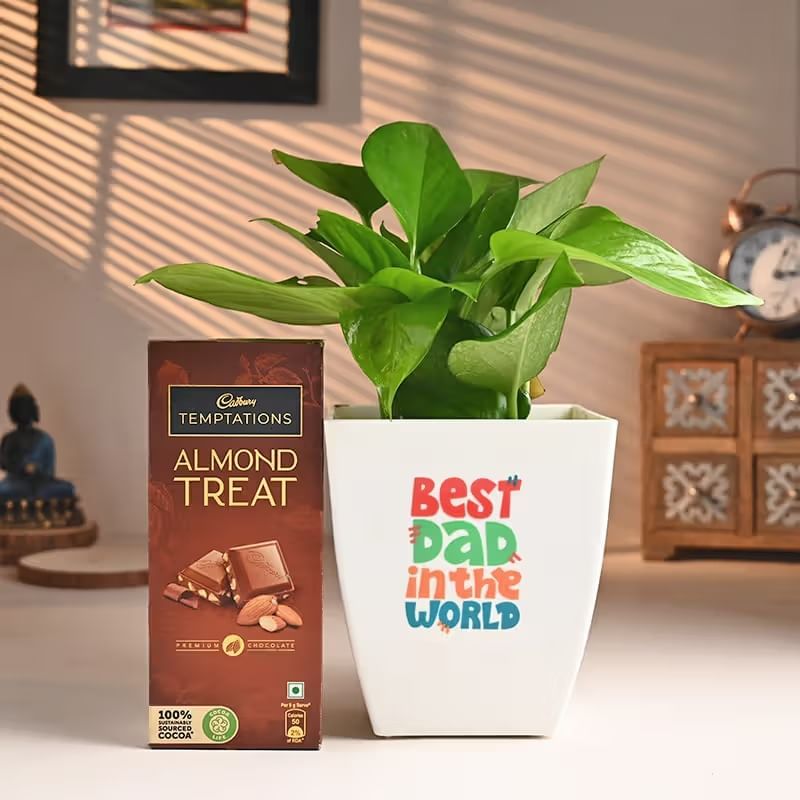 Money Plant N Chocolate Duo For Dad
