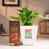 Money Plant N Chocolate Duo For Dad