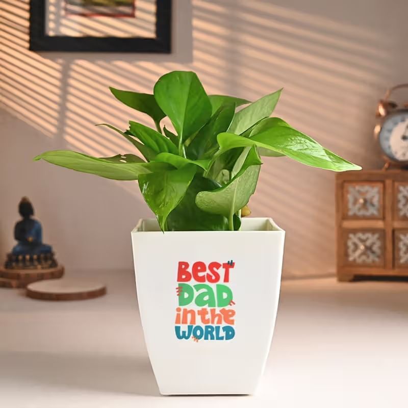 Product Image Video